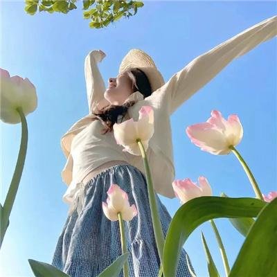 冲绳小芙蓉